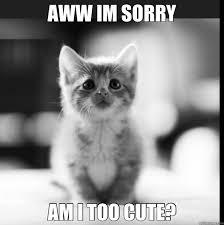 Aww Im Sorry Am I Too Cute Misc Quickmeme