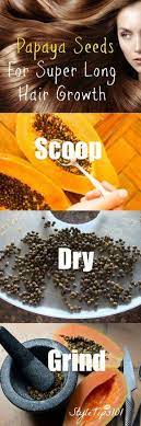 papaya seeds benefits how to use papaya seeds for hair growth recipe miracle hair growth longer hair growth hair growth treatment