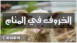 يدل في المنام على ولد ذكر مطيع لوالديه، فمن وهب له خروف وله إمرأة حامل بشر بولد ذكر مطيع. ØªÙØ³ÙŠØ± Ø­Ù„Ù… Ø±Ø¤ÙŠØ© Ø§Ù„Ø®Ø±ÙˆÙ ÙÙŠ Ø§Ù„Ù…Ù†Ø§Ù…