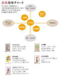 山形 はえぬき 特徴