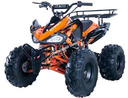 How fast is 125cc atv. Extreme Motor Sales Inc Kids Atv 50cc 125cc Alpine Jet 125cc Kids Atv Sport Fully Auto Quad With Reverse 8 Inch Wheel