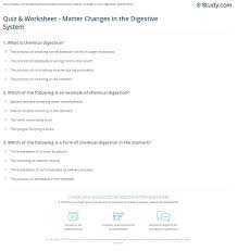A digestive system is a group of organs consisting of the central gastrointestinal (gi) tract and its associated accessory organs that break down food into smaller how does the digestive system work? Quiz Worksheet Matter Changes In The Digestive System Study Com