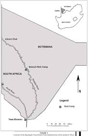 Image result for Sporobolus bechuanicus