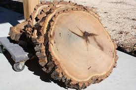 Large Mesquite Wood Slices 1 5 Thick Extra Large Wood Etsy Wood Slices Large Wood Slices Wood