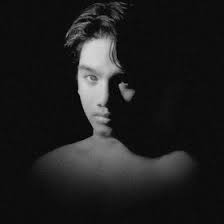  Amru Shark Amrushark Profil Pinterest