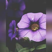 Lois E Ross Obituary