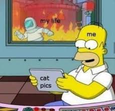 Sixteen Dopey Homer Simpson Memes For The Donut Lovers Animal Crossing Memes Funny Pictures Funny Memes