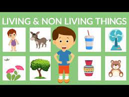 Even though it's a little cold at the moment. Living And Non Living Things English Esl Video Lesson