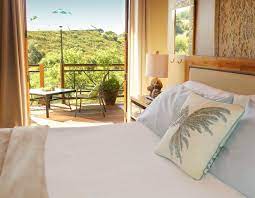 Check spelling or type a new query. 25 Dreamy Airbnb Temecula California Vacation Rentals