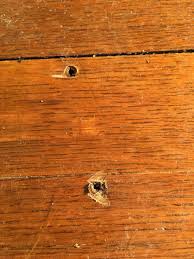 sanding over nailheads in hardwood