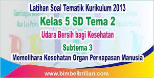 Gambar Poster Tentang Merawat Organ Pernapasan Google Penelusuran Gambar Manusia Poster