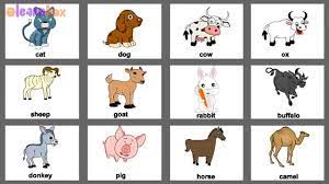 Animal Names With Pictures In English Learn Animals Names For Kids Children Kids Learning Videos Youtube