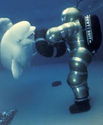 Image result for Scuba Blue 2017 A1