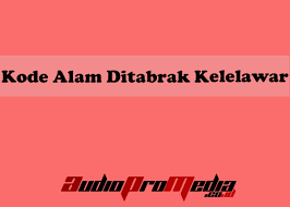 Jika yang datang adalah kelelawar besar, artinya akan ada musibah yang menimpa penghuni rumah. Kode Alam Ditabrak Kelelawar Lengkap 2d 3d 4d Menurut Erek Erek