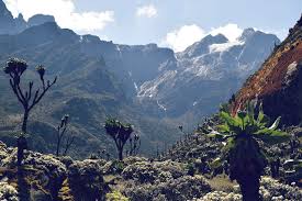 Ruwenzori range, mountain range bordering uganda and congo (kinshasa); See Our African Travel Destinations