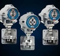 Optical Flame Detector Family Selection Guide | Fike