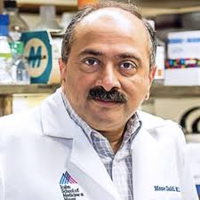 The Friedman Brain Institute 2023 FBI Research Scholars