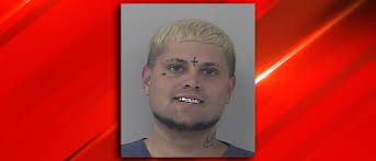 Carjacking suspect in critical condition after crash with police