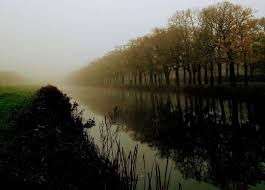 Reflections Hannover Herrenhausen Garden Water Fog Tree Magic Treelovers Instatree Nature Structure Lands Reflection Photography Instagram Landscape