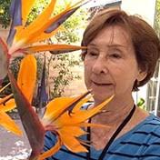 Bellis Family Obituaries