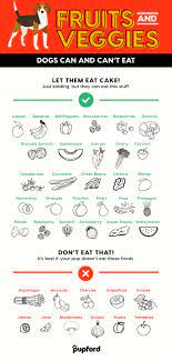 39 Vegetables And Fruits Dogs Can And Can T Eat Dog Food Recipes Dogs Can And Cant Eat Fruit Dogs Can Eat