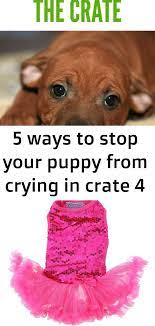 5 Ways To Stop Your Puppy From Crying In Crate 4 Puppy Whining Puppies Crates
