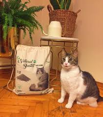 Natural Bastet Kedi Kumu Cam Peleti Yorum Suzionline