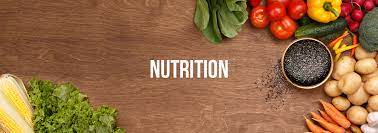 Choosing the Right Food for Health and Nutrition – Alternative Health Care Concepts
