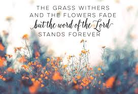 Wallpaper bible verses about is an online resource, with free painting art picture wallpapers, in learning scripture verses in the bible that corresponds to specific topics that are useful and worth knowing in life. 15 Bible Verse Phone Wallpaper Hd Ryan Wallpaper