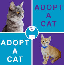 Evh is here for your four legged family members as well as those with feathers and scales. Local Veterinarians
