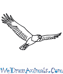 Mexican Flag Eagle Drawing Easy Step By Step The simple drawings in this video makes how to draw a mexican flag easy for kids to follow, and it's fun to make kids art! mexican flag eagle drawing easy step by