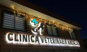 Clinica Veterinaria Andalién