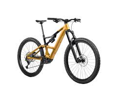 Image result for Orbea knobelii