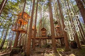 Stream treehouse masters free with your tv subscription! Nelson Treehouse
