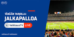 Feyenoord | last matchesoverall home away. Veikkaustv On Twitter Futista Veikkaustv Ssa 16 00 Ks Cracovia Fks Stal Miele 16 30 1860 Munchen E Frankfurt 17 00 Huddersfield N O R W I C H 18 00 Montpellier Nice
