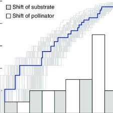 Image result for Savannosiphon euryphyllus