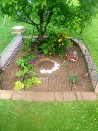 Turtle Outdoor Enclosure Tortoise Habitat Tortoise House Turtle Habitat