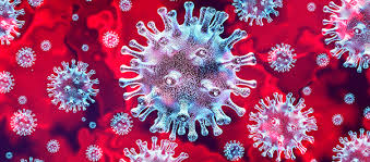 Image result for coronavirus image html