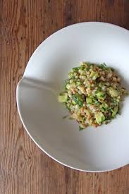 fregola sarda risotto mit zucchini und schnittlauch rezept risotto vegetarisch kochen gemusegerichte
