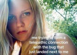 🛑Guys. This is already entomemeology🛑 Imagine hanging out underground for  17 years, you get to the surface, wondrous sunshine, fresh air. And your  butt falls off 😩