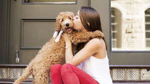 182 likes · 2 talking about this · 6 were here. Dallas Area Dog Grooming Dallas Mobile Grooming