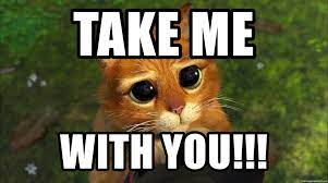 Take Me With You Please Cat Meme Generator