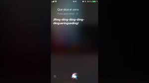 We did not find results for: Siri Con Humor Las 187 Respuestas Mas Graciosas Que Quiza No Conoces