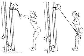 Pull the bar down in an arc with straight arms until it touches your upper thighs. Straight Arm Cable Pulldown Straight Arm Pulldown Workout Guide Cable Machine Workout