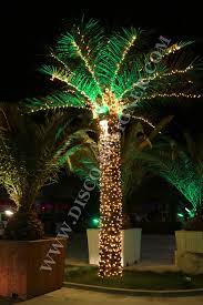Wrap trees and columns in brilliant, uniform illumination with our commercial grade, long lasting trunk wrap lights! Artificial Palm Tree Led Lighting