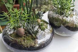 In order to craft one you must put an empty jar, a soil block (such as grass or overgrown netherrack) and whatever plant is needed for the inside. How To Make Your Own Terrarium Gardener S Path