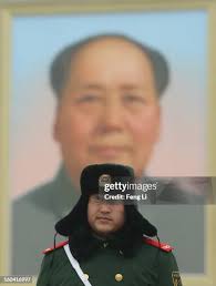 14,204 Uncomfortable Pose Stock Photos, High-Res Pictures, and Images