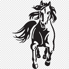 (white) 3.7 out of 5 stars. Ford Mustang Drawing Mustang Horse Mammal Monochrome Png Pngwing