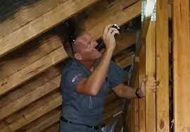 Speak to us about your building and pest inspection needs. Building And Pest Inspection Brisbane Pest Ex
