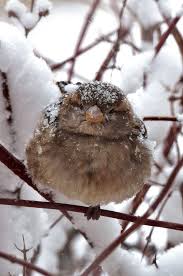 Pin Auf Winter